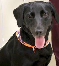 小田 ココちゃん