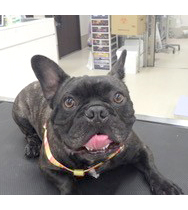 �{��@�W���j�A�����