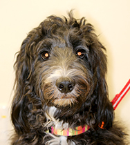 �R�{�@���}�������