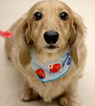 �a�J�@���������