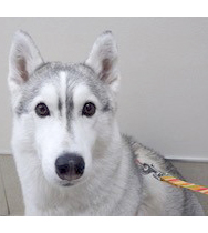 �ҁ@�X�~�����