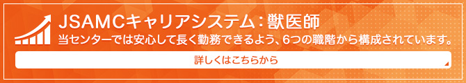 LSAMC�L�����A�A�b�v�V�X�e��