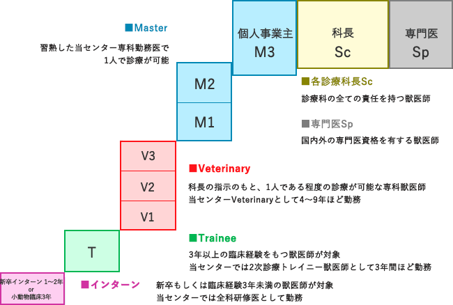 ���^�C���[�W